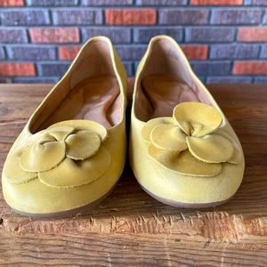 Born yellow flower flats